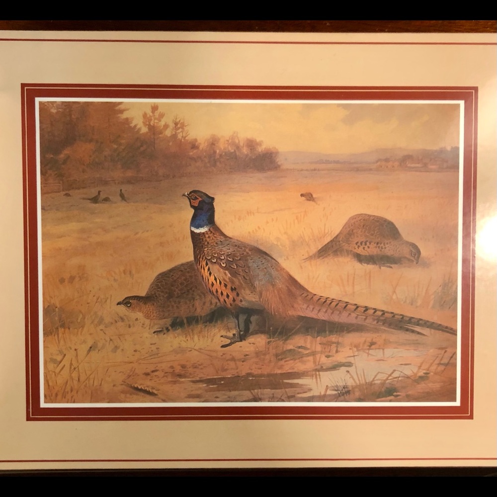 Very Handsome Pheasant Placemat